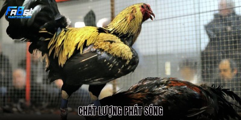 hinh-anh-dep-mat-chat-luong-dinh-cao