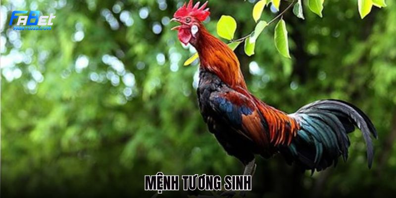 moi-quan-he-chien-ke