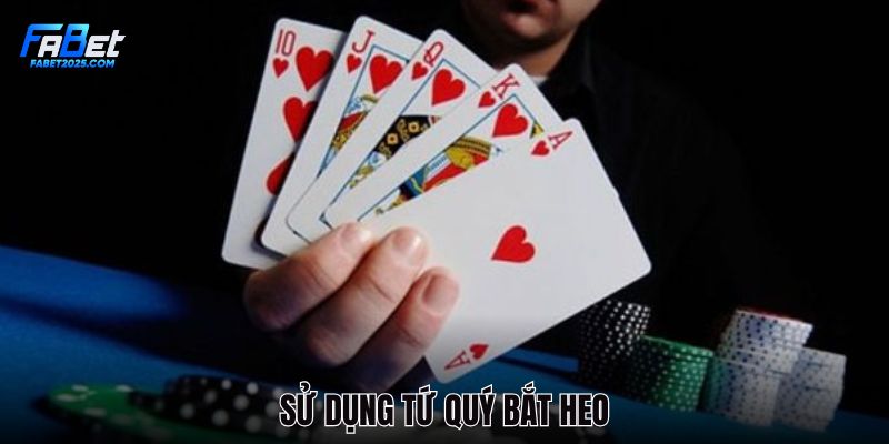 mot-bo-tu-quy-co-the-chat-heo
