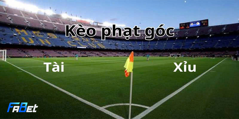 soi-keo-phat-goc-mot-so-lua-chon-pho-bien
