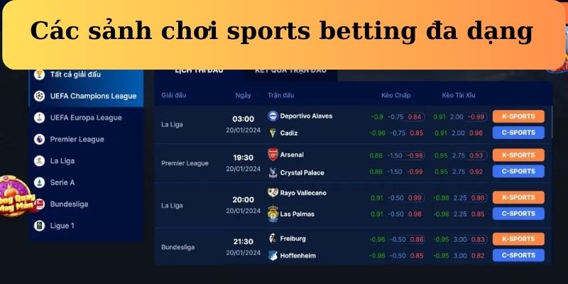 the-thao-Fabet-cac-sanh-choi-sports-betting-da-dang